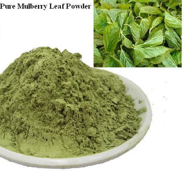 Green Mulberry Leaf Powder Food Grade Bulk Sale
